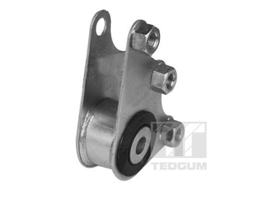 Variklio montavimas TEDGUM 00219338