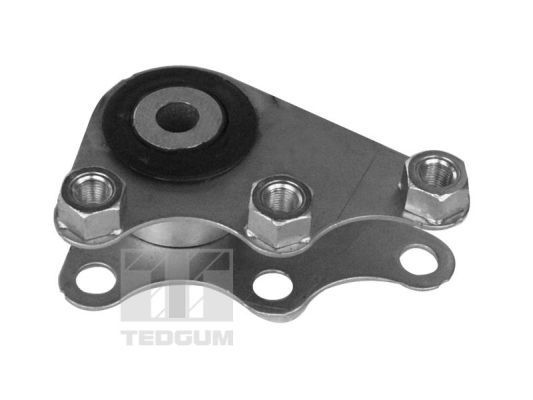 Variklio montavimas TEDGUM 00219338