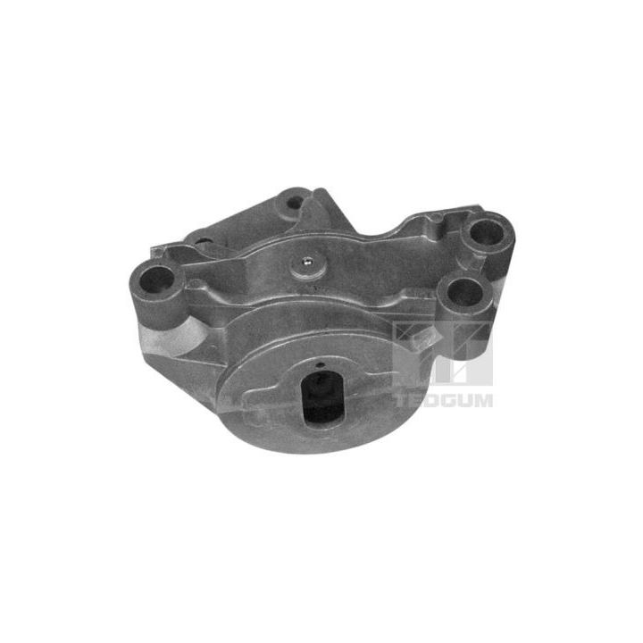 Variklio montavimas TEDGUM 00219484