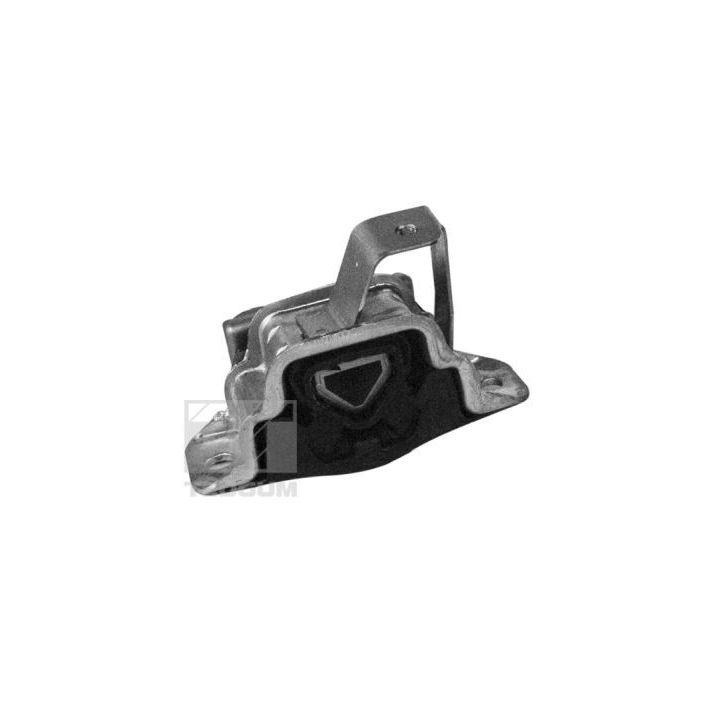 Variklio montavimas TEDGUM 00219490