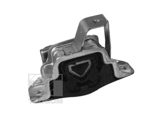 Variklio montavimas TEDGUM 00219490