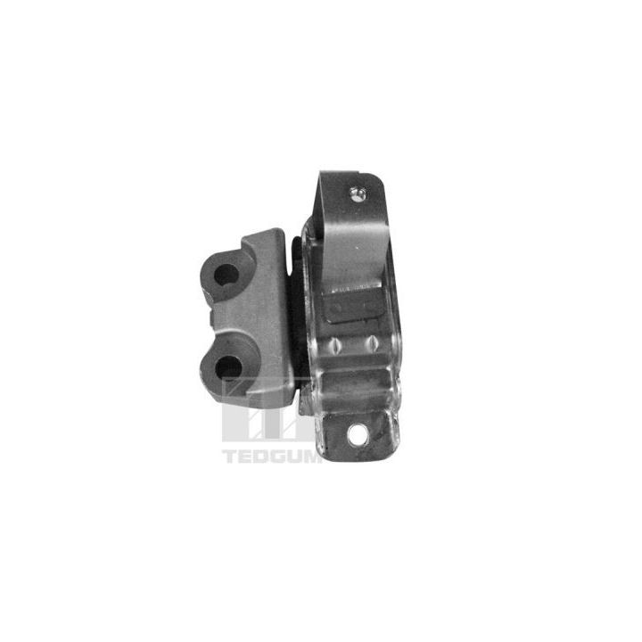 Variklio montavimas TEDGUM 00219490