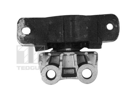 Variklio montavimas TEDGUM 00219490