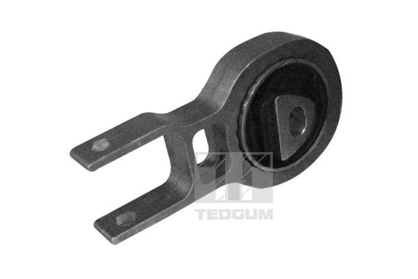 Variklio montavimas TEDGUM 00219531