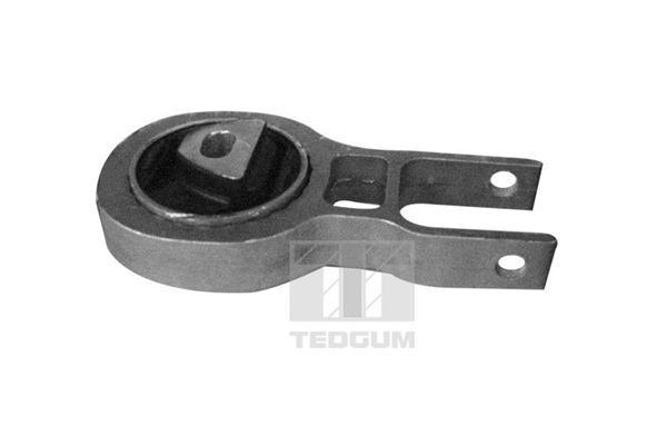 Variklio montavimas TEDGUM 00219531