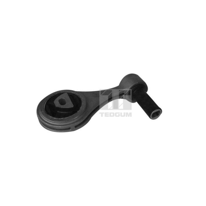 Variklio montavimas TEDGUM 00219575