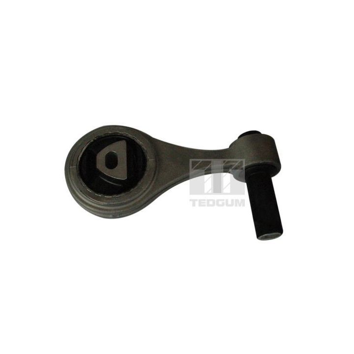 Variklio montavimas TEDGUM 00219575