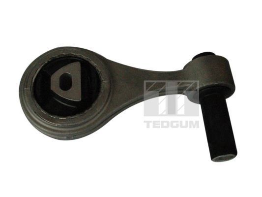 Variklio montavimas TEDGUM 00219575