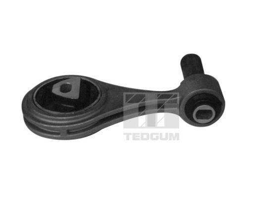 Variklio montavimas TEDGUM 00219575