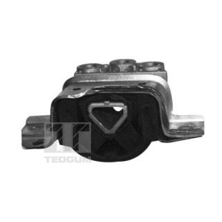 Variklio montavimas TEDGUM 00219579