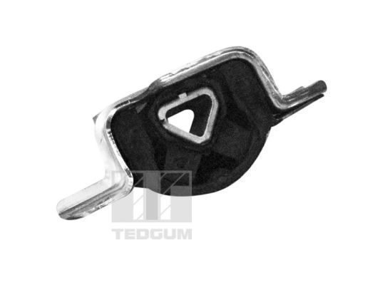 Variklio montavimas TEDGUM 00219579