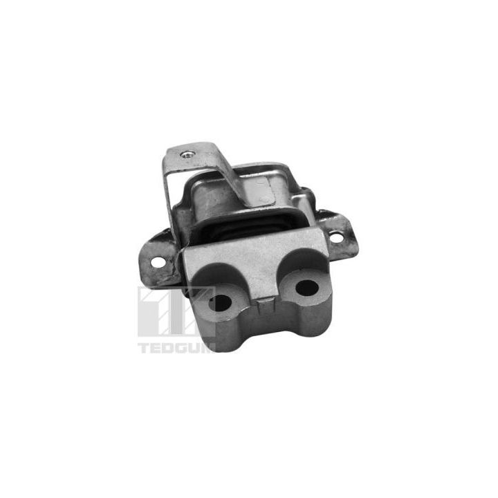 Variklio montavimas TEDGUM 00219590