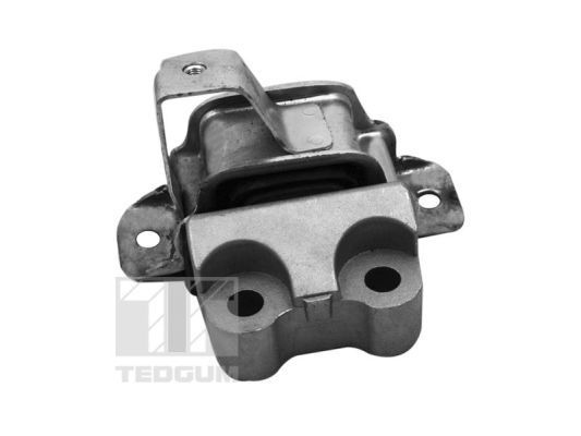Variklio montavimas TEDGUM 00219590