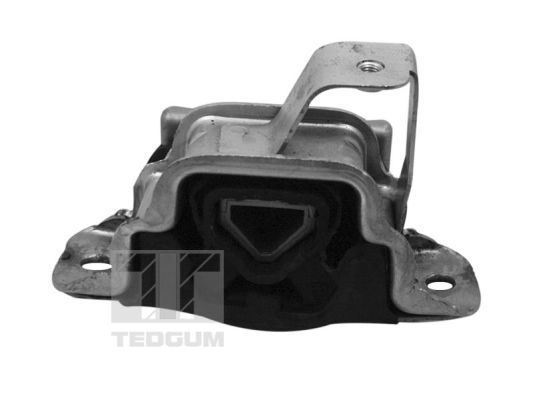 Variklio montavimas TEDGUM 00219590