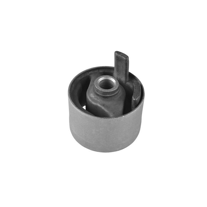 Variklio montavimas TEDGUM 00220525