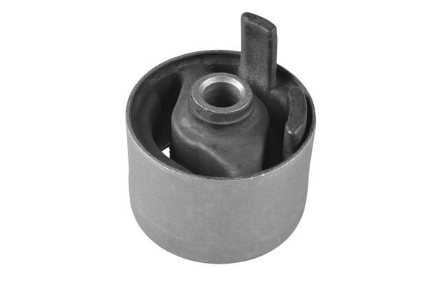 Variklio montavimas TEDGUM 00220525