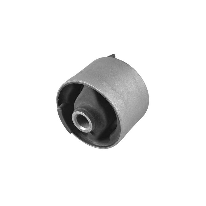 Variklio montavimas TEDGUM 00220525