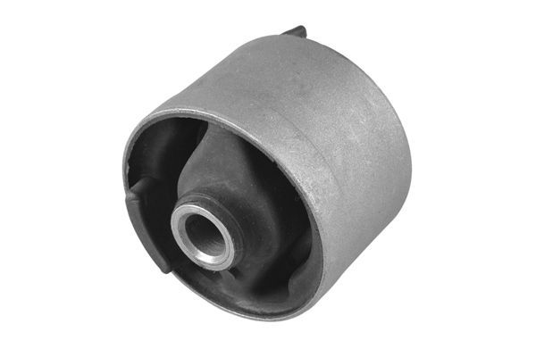 Variklio montavimas TEDGUM 00220525