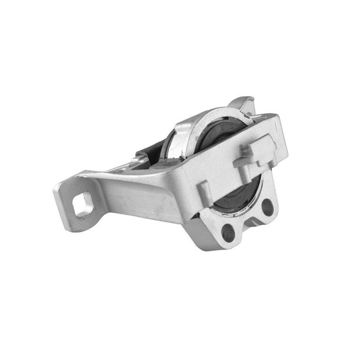 Variklio montavimas TEDGUM 00221651