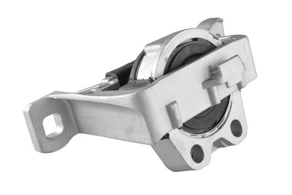 Variklio montavimas TEDGUM 00221651