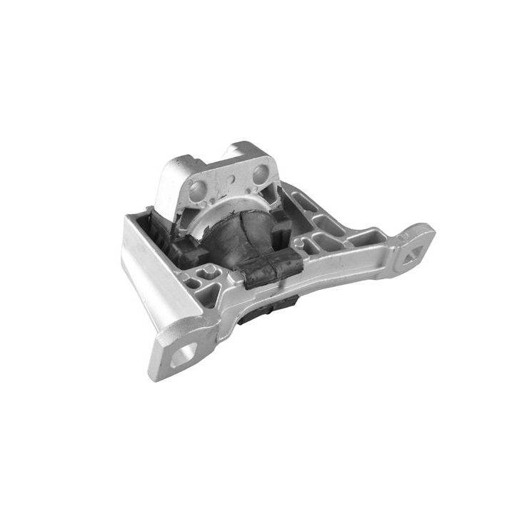 Variklio montavimas TEDGUM 00221651