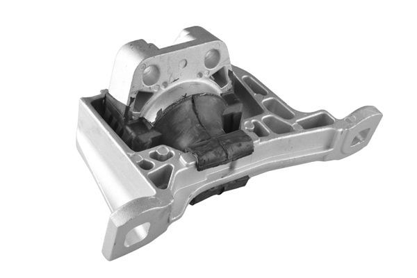 Variklio montavimas TEDGUM 00221651