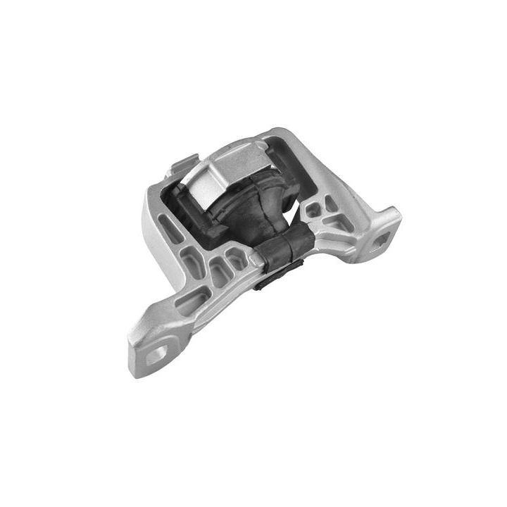 Variklio montavimas TEDGUM 00221651