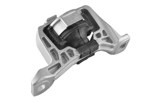 Variklio montavimas TEDGUM 00221651