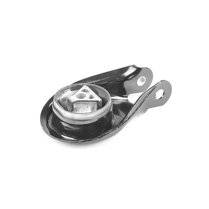 Variklio montavimas TEDGUM 00226637