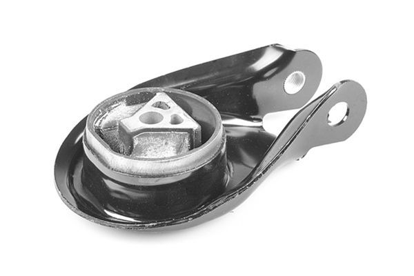 Variklio montavimas TEDGUM 00226637