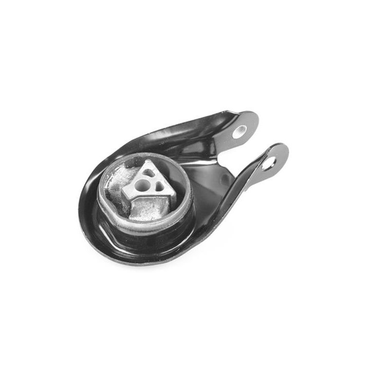 Variklio montavimas TEDGUM 00226637