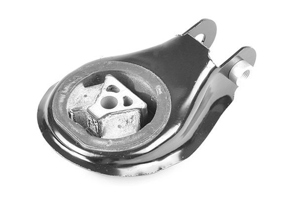 Variklio montavimas TEDGUM 00226637