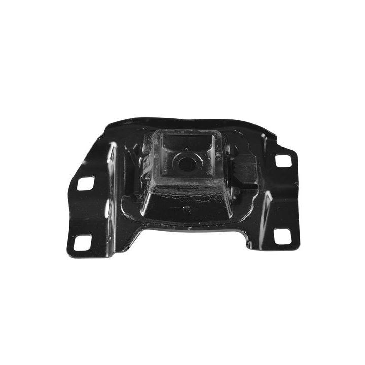 Variklio montavimas TEDGUM 00226638