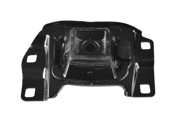 Variklio montavimas TEDGUM 00226638