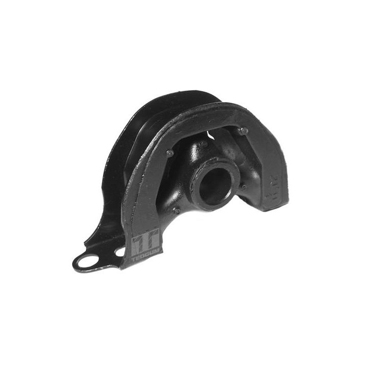 Variklio montavimas TEDGUM 00261965