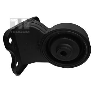 Variklio montavimas TEDGUM 00280066