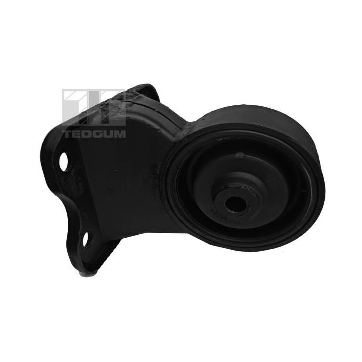 Variklio montavimas TEDGUM 00280066