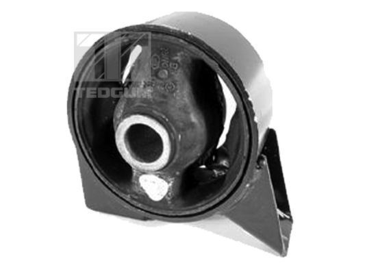 Variklio montavimas TEDGUM 00280445