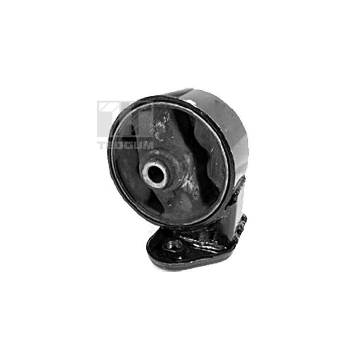 Variklio montavimas TEDGUM 00280450