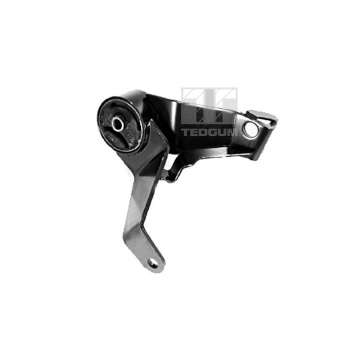 Variklio montavimas TEDGUM 00280455