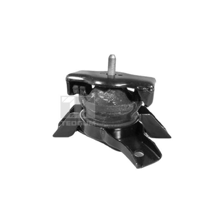 Variklio montavimas TEDGUM 00280460