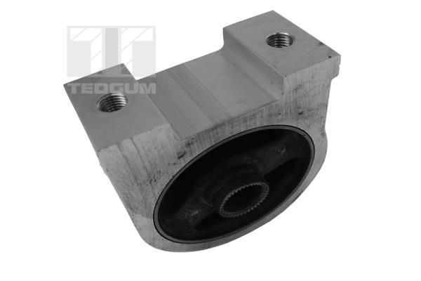 Variklio montavimas TEDGUM 00282049