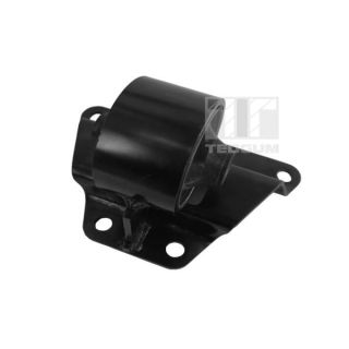 Variklio montavimas TEDGUM 00282056
