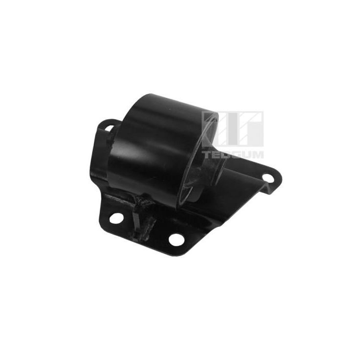 Variklio montavimas TEDGUM 00282056