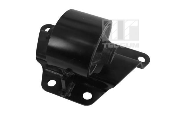 Variklio montavimas TEDGUM 00282056