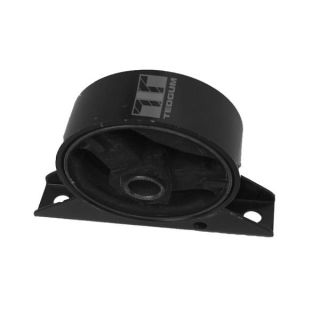 Variklio montavimas TEDGUM 00282629