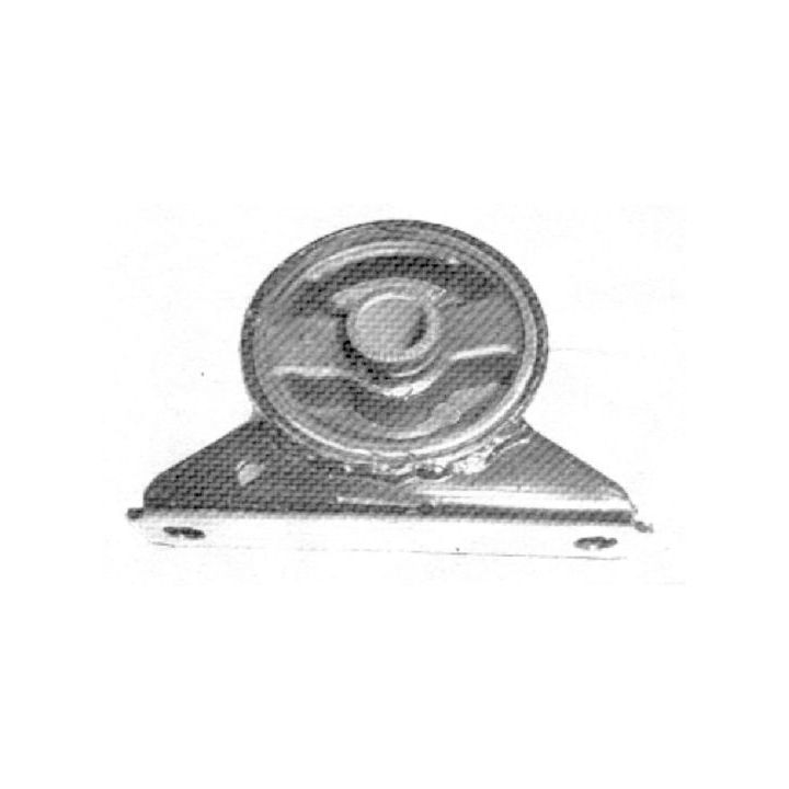 Variklio montavimas TEDGUM 00282801