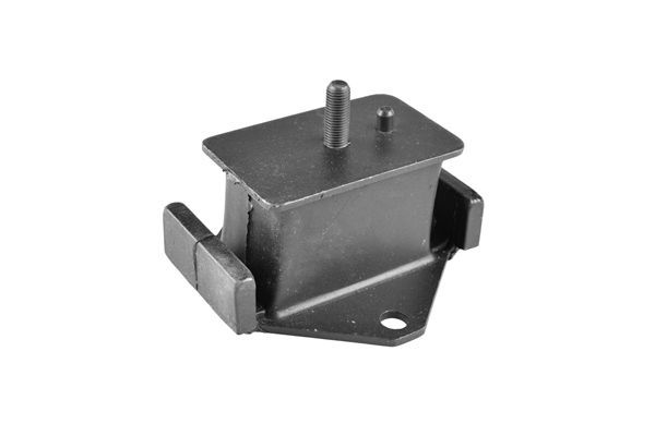 Variklio montavimas TEDGUM 00283503