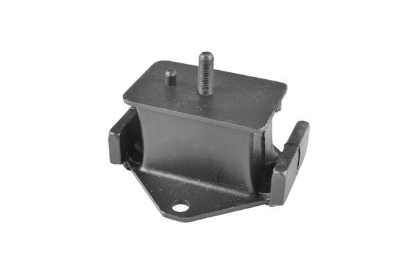 Variklio montavimas TEDGUM 00283503