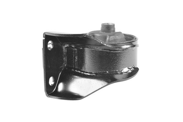 Variklio montavimas TEDGUM 00283523